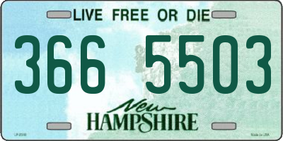 NH license plate 3665503