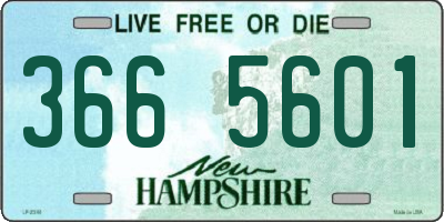 NH license plate 3665601