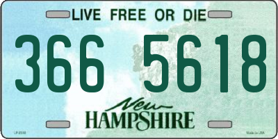 NH license plate 3665618