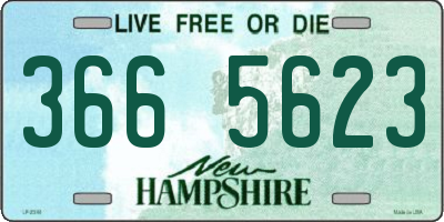 NH license plate 3665623