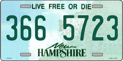 NH license plate 3665723