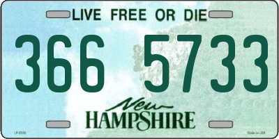 NH license plate 3665733