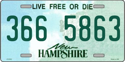 NH license plate 3665863