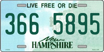 NH license plate 3665895