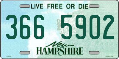 NH license plate 3665902