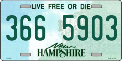 NH license plate 3665903