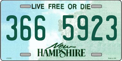 NH license plate 3665923