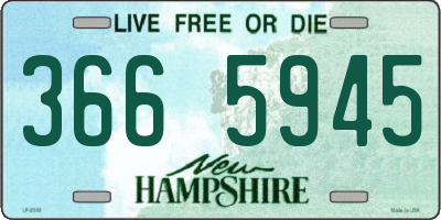 NH license plate 3665945