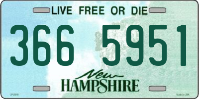NH license plate 3665951