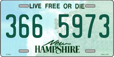 NH license plate 3665973