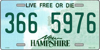 NH license plate 3665976