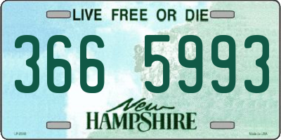 NH license plate 3665993