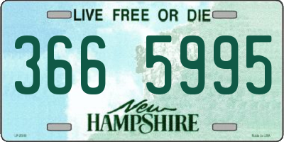 NH license plate 3665995