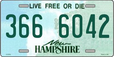 NH license plate 3666042
