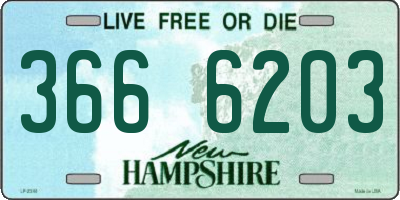 NH license plate 3666203