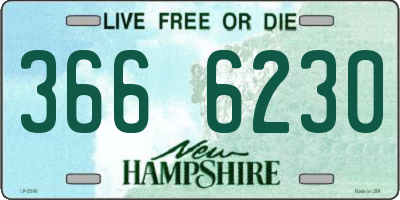 NH license plate 3666230