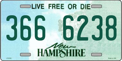 NH license plate 3666238