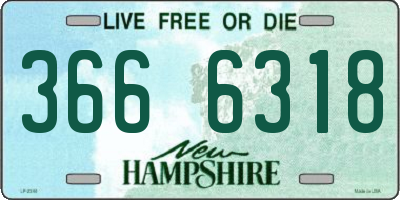 NH license plate 3666318