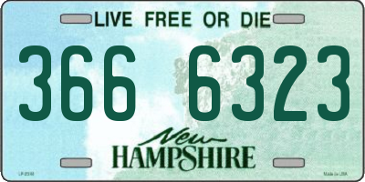NH license plate 3666323