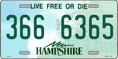 NH license plate 3666365