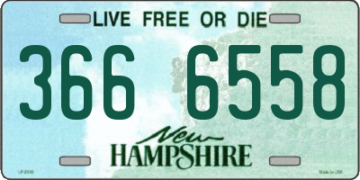 NH license plate 3666558