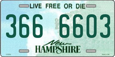 NH license plate 3666603