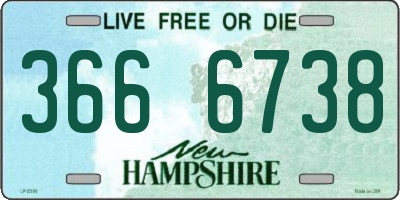 NH license plate 3666738