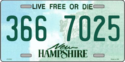 NH license plate 3667025