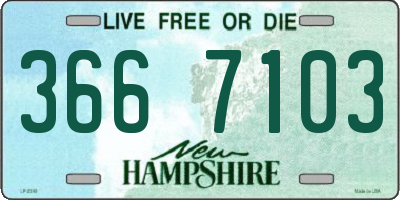 NH license plate 3667103