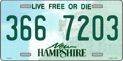 NH license plate 3667203