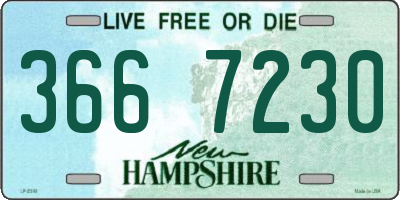 NH license plate 3667230