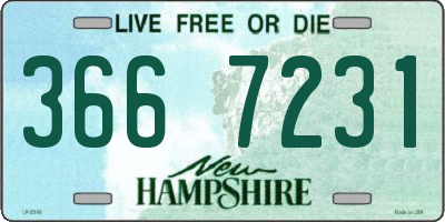 NH license plate 3667231