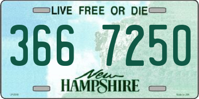 NH license plate 3667250