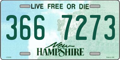 NH license plate 3667273