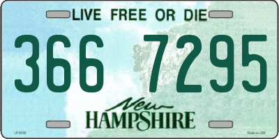 NH license plate 3667295