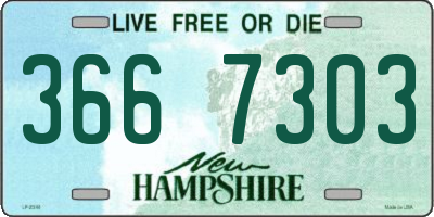 NH license plate 3667303
