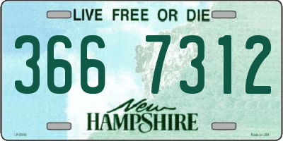 NH license plate 3667312