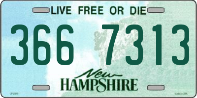 NH license plate 3667313