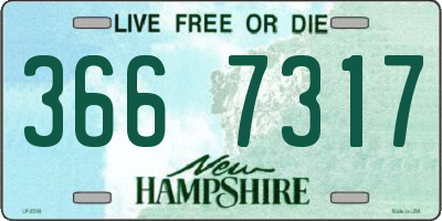 NH license plate 3667317