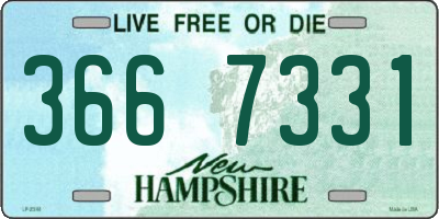 NH license plate 3667331