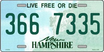 NH license plate 3667335