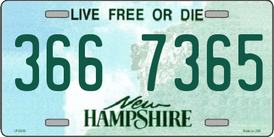 NH license plate 3667365
