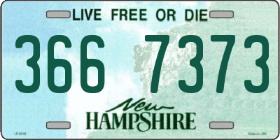 NH license plate 3667373