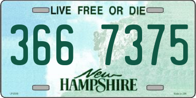 NH license plate 3667375