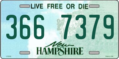 NH license plate 3667379