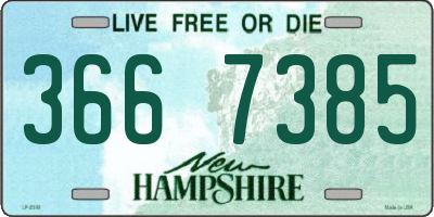 NH license plate 3667385