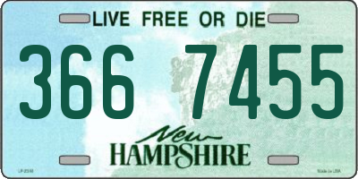 NH license plate 3667455