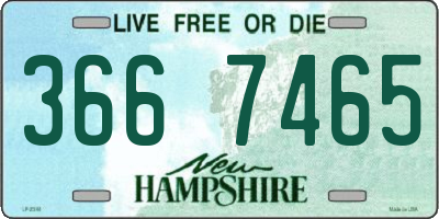 NH license plate 3667465