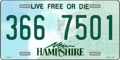 NH license plate 3667501