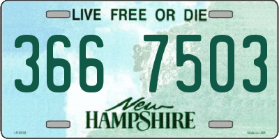 NH license plate 3667503